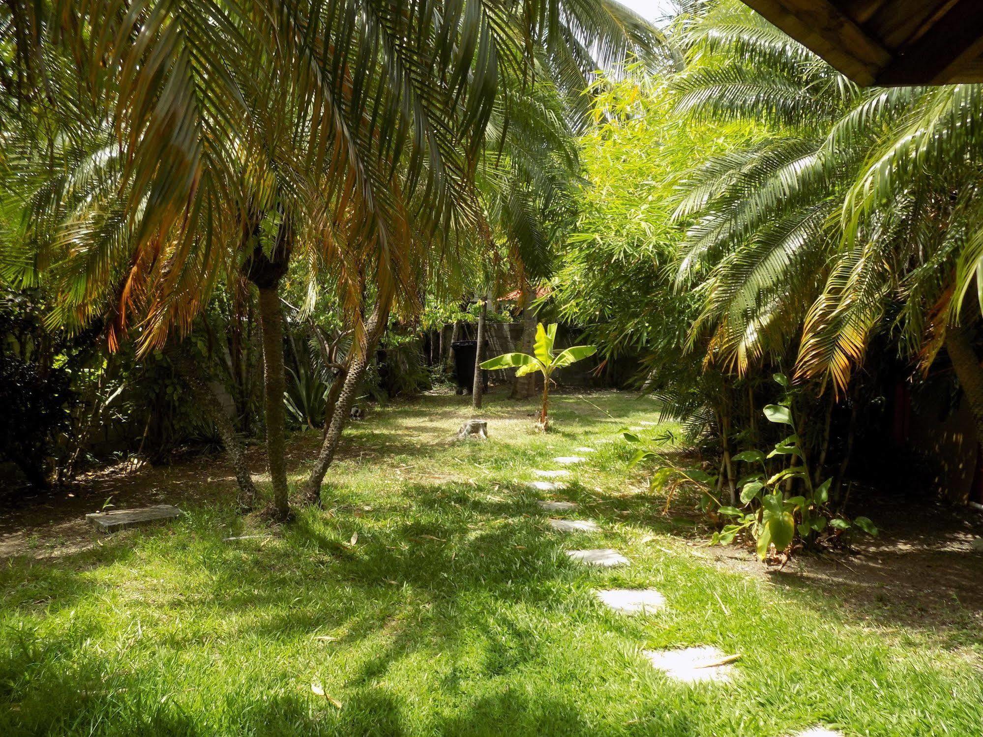 Le Jardin De Rodney Gros Islet Exterior foto